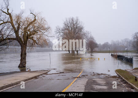 Harris Park, Londra. Xvii Apr, 2018. Regno Unito: Meteo Il Tamigi continua a culatta le sue banche in Harris Park come i livelli elevati di acqua fanno strada lungo il fiume a Londra, Ont. il 17 aprile 2018. Credito: Mark Spowart/Alamy Live News Foto Stock