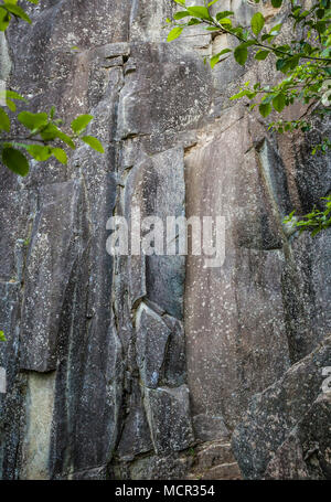 Una sezione delle scogliere di granito denominata la città bassa parete. Si tratta di una popolare rock climbing area vicino indice, Washington, Stati Uniti d'America. Foto Stock