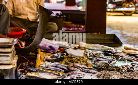 Hilsa rohu katla astice di gamberi e vari tipi di pesci visualizzati in indian mercato del pesce a Kolkata. Foto Stock