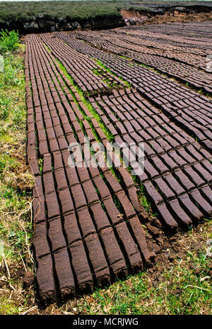 Taglio di torba per carburante, Roundstone Blanket Bog, Connemara, nella contea di Galway, Irlanda . Foto Stock