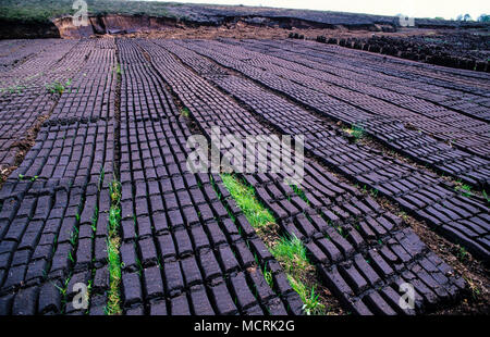 Taglio di torba per carburante, Roundstone Blanket Bog, Connemara, nella contea di Galway, Irlanda. L'Europa. Foto Stock