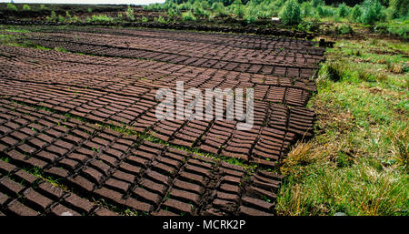 Taglio di torba per carburante, Roundstone Blanket Bog, Connemara, nella contea di Galway, Irlanda . Foto Stock