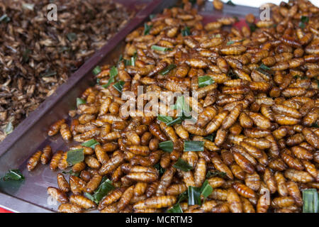 Piastra di bruchi fritti e insetti ad un mercato in stallo in Khao San Road, Bangkok, Thailandia Foto Stock