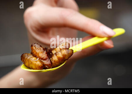 Mano che tiene un spponful di Caterpillar e di altri insetti in Khao San Road, Bangkok, Thailandia Foto Stock