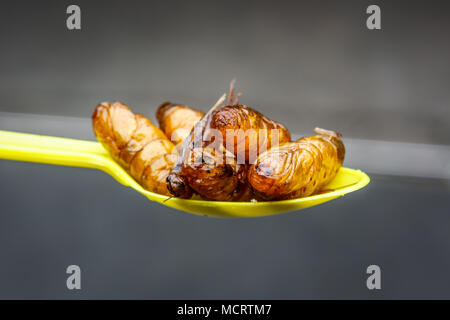 Mano che tiene un spponful di Caterpillar e di altri insetti in Khao San Road, Bangkok, Thailandia Foto Stock