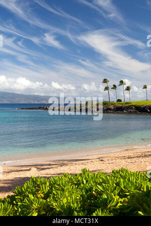 Mattinata a Kapalua Bay, Maui, Hawaii. Foto Stock