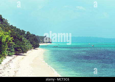 Isola di Cozumel Bush beach in Riviera Maya Maya Messico Foto Stock