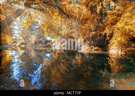 La riflessione sul Crabtree Creek in Linn County Oregon durante la stagione autunnale Foto Stock