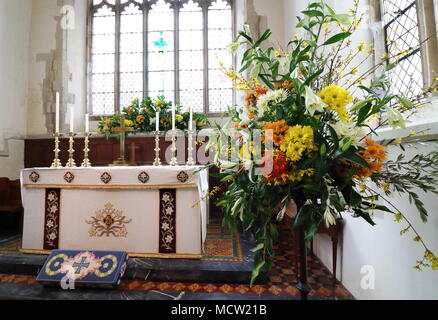 Per la prima volta nei suoi 50 anni di storia, la Thriplow Daffodil week-end è stato colpito da neve. Oltre mezzo milione di narcisi in tutto il villaggio di attirare oltre diecimila visitatori di questo piccolo villaggio di Cambridgeshire ogni anno. Essi celebrano il loro cinquantesimo anniversario con la manifestazione di quest'anno, ma l'arrivo improvviso di notte la neve e temperature sotto zero ha colpito la solita sorprendente display del tradizionale fiori di primavera. Oltre 80 diverse varietà di narcisi sono visualizzati insieme con craft fienili, chioschi, Morris dancing, motori a vapore, dog show, rievocazione gruppo e altri ele Foto Stock