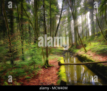 ARTE FOTOGRAFICA: Primavera nel bosco (immagine HDR) Foto Stock