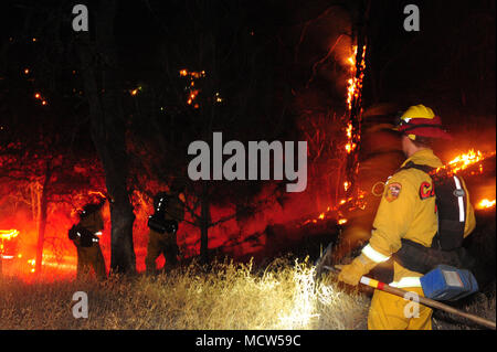 Un vigile del fuoco valuta la sua prossima mossa strategica durante uno dei numerosi Lake County incendi. Foto Stock
