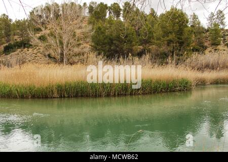 Fiume Cabriel sulla sua strada attraverso Casas Del Rio village, Albacete, Spagna. Paesaggio tra campi di canna da zucchero e le montagne. Foto Stock