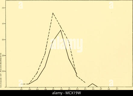 . -1 1 1 1 r 37 38 39 40 41 valore percentuale di misura Fig. 79. Le balenottere comuni. Variazioni di misura n. 6. Punta del muso a punta della pinna. I maschi. Femmine. Foto Stock