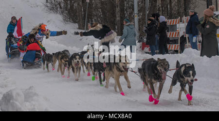 La 46a corsa annuale Iditarod Trail Sled Dog Race è stata una competizione a lunga distanza dell'Alaska nel 2018, a partire da un inizio cerimoniale di 11 miglia ad Anchorage il 3 marzo. La corsa copre circa 1.000 miglia fino a nome lungo la costa del Mare di Bering. L'immagine d'archivio documenta i musher e le squadre di cani da slitta all'inizio dell'evento. Foto Stock
