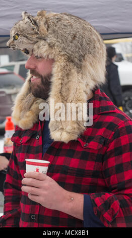 La 46th Annual Iditarod Trail Sled Dog Race è stata la corsa del 2018 della gara di cani da slitta a lunga distanza dell'Alaska, a partire da un inizio cerimoniale di 11 miglia ad Anchorage il 3 marzo 2018, prima del percorso di 1.000 miglia per nome sulla costa del Mare di Bering. L'immagine d'archivio documenta i musher e le squadre di cani all'inizio ufficiale dell'evento noto come "l'ultima grande corsa sulla Terra". Foto Stock