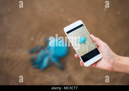 Prendendo la foto di un morto meduse sulla spiaggia lavata da onde Foto Stock