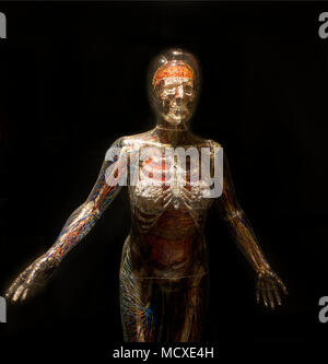 Dittrick Medical History Center e il museo di Cleveland Ohio Foto Stock