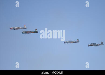 "Il deserto ratti" la formazione del team di dimostrazione volare un gruppo di CJ-6A di cellule al di sopra di Luca Giorni, Luke Air Force Base, Ariz., Marzo 17, 2018. Luca giorni dimostra la Air Force continui progressi nella costruzione del futuro di airpower con militari e civili di aria agisce inclusi gli Stati Uniti. Navy Blue Angels, F-35 e F-22 visualizza statico, scienza, tecnologia, ingegneria, matematica e mostre e le operazioni militari per le dimostrazioni. Foto Stock