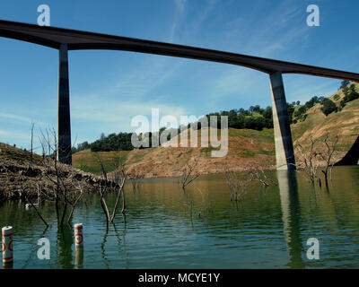 Grazie al progetto, formalmente sommerso tree tops esposto al di sopra dell'acqua a New Melones Lago, Sierra Nevada pedemontana, California Foto Stock