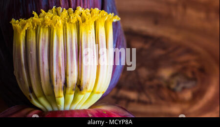 Close up macro di banana blossom mocha, fiori di banana acerba in background in legno con copia spazio per il testo. Foto Stock