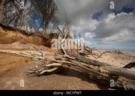 Spiaggia Benacre Suffolk Foto Stock