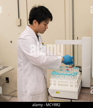 Yoshito Oshiro, XVIII Medicina Aerospaziale Squadron medicina preventiva di volo Servizi di laboratorio chimico, raccoglie campioni da sottoporre a prova il 8 marzo, 2018 a Kadena Air Base, Giappone. Il test di laboratorio molti elementi trovati nell'ambiente di Okinawa, in Giappone, come acqua, olio e del suolo. (U.S. Air Force foto di Senior Airman Jessica H. Smith) Foto Stock