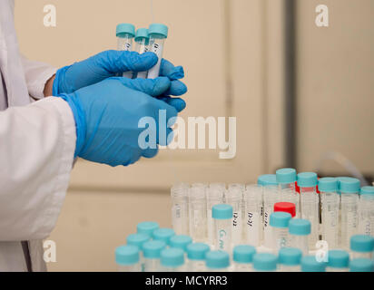 Yoshito Oshiro, XVIII Medicina Aerospaziale Squadron medicina preventiva di volo Servizi di laboratorio chimico, raccoglie campioni da sottoporre a prova il 8 marzo, 2018 a Kadena Air Base, Giappone. Il test di laboratorio molti elementi trovati nell'ambiente di Okinawa, in Giappone, come acqua, olio e del suolo. (U.S. Air Force foto di Senior Airman Jessica H. Smith) Foto Stock