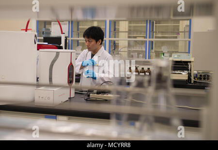 Yoshito Oshiro, XVIII Medicina Aerospaziale Squadron medicina preventiva di volo Servizi di laboratorio chimico, prepara per pulire attrezzature di laboratorio Marzo 8, 2018 a Kadena Air Base, Giappone. Il test di laboratorio molti elementi trovati nell'ambiente di Okinawa, in Giappone, come acqua, olio e del suolo. (U.S. Air Force foto di Senior Airman Jessica H. Smith) Foto Stock