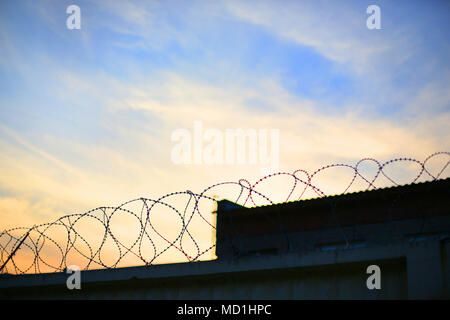 Filo spinato a spirale contro lo sfondo del tramonto o l'alba, la mancanza di libertà, di isolamento, di limitazione. Distrutto le speranze, le famiglie, la deportazione, il CRIM Foto Stock