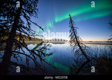 Luci del nord in Pallas-Yllästunturi National Park, Muonio, Lapponia, Finlandia. Foto Stock