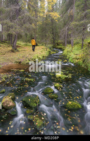 Escursionista in valle Varkaankuru in Kolari, Lapponia, Finlandia Foto Stock