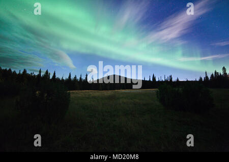 Luci del nord in Pallas-Yllästunturi National Park, Muonio, Lapponia, Finlandia. Foto Stock