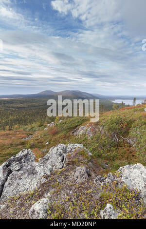 Fells in Muonio, Lapponia, Finlandia Foto Stock