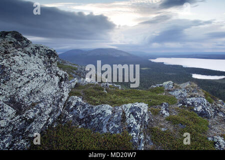 Fells in Muonio, Lapponia, Finlandia Foto Stock