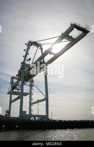 Gantry Crane militare a Ocean Terminal Concord, California, Marzo 6, 2018. Trans Mariner 18 West è un mondo reale missione strategica utilizzando U.S. La riserva di esercito e componente attivo soldati per condurre operazioni portuali consentendo Army materiel e contenitori di munizioni per il viaggio di andata. (U.S. Esercito foto di Sgt. Eben Boothby) Foto Stock