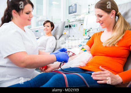 Disinfezione di infermiere punto di foratura prima della donazione del sangue Foto Stock