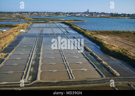 Francia, Loire-Atlantique, Guérande, saline di Guerande Foto Stock