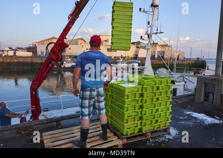 Francia, Loire-Atlantique, La Turballe, sardina porto di pesca Foto Stock