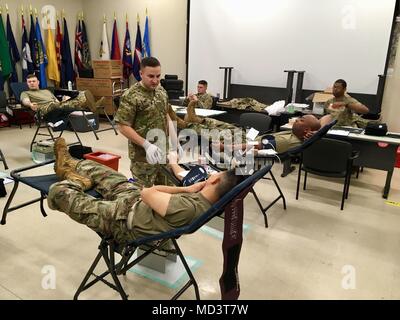 I militari di stanza a Schofield Barracks donano il sangue durante una trasmissione sponsorizzata dal teatro 8 il supporto di comando e delle Forze Armate del programma di sangue (ASBP) Il 9 marzo presso la 130Brigata ingegnere presso la sede centrale. Con l'unità di sangue, l'ottava TSC e ASBP ha cercato di assicurare la qualità dei prodotti del sangue per i membri del servizio, i veterani e le loro famiglie sia in pace e guerra. In particolare, l'unità di sangue supportato NEGLI STATI UNITI Dell'esercito di priorità superiore di disponibilità assicurando i soldati sono gli strumenti di cui hanno bisogno per implementare, combattere e vincere in tutta la gamma del conflitto. (U.S. Esercito foto di magg. Lindsey Sambuco Foto Stock
