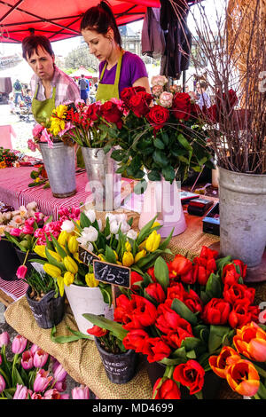 Pressione di stallo di fiori, mercato di Praga a Kulatak, Dejvice Praga, Repubblica Ceca Foto Stock