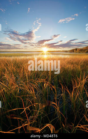 Il sole di mezzanotte in Finlandia Foto Stock