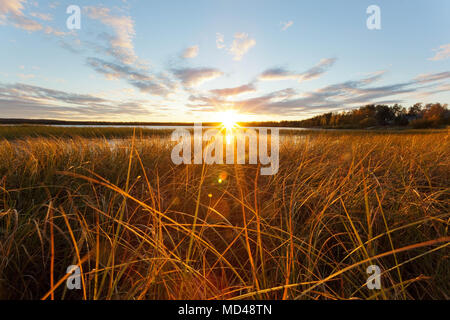 Il sole di mezzanotte in Finlandia Foto Stock