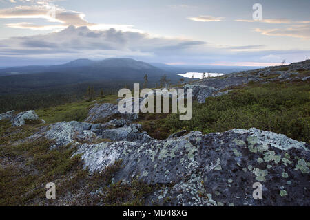 Fells in Muonio, Lapponia, Finlandia Foto Stock