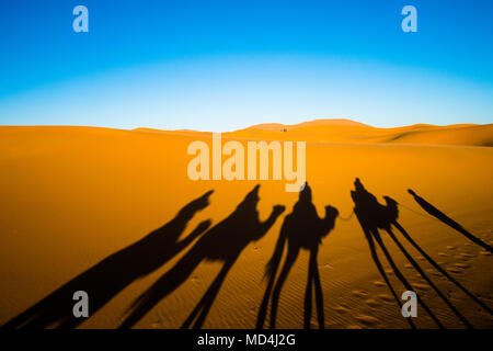 Ampia angolazione del caravan in viaggio e cammelli ombre sulle dune di sabbia nel deserto del Sahara Foto Stock