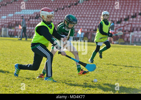 I bambini della scuola elementare giocando GAA hockey irlandese al Celtic Park, Derry. Foto Stock