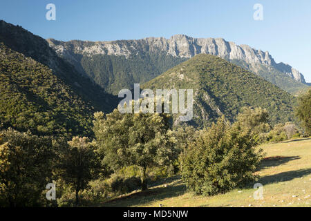 Vista della Sierra de Grazalema e montagne dal Mirador Puerto de los Acebuches, Sierra de Grazalema parco naturale, Andalusia, Spagna, Europa Foto Stock