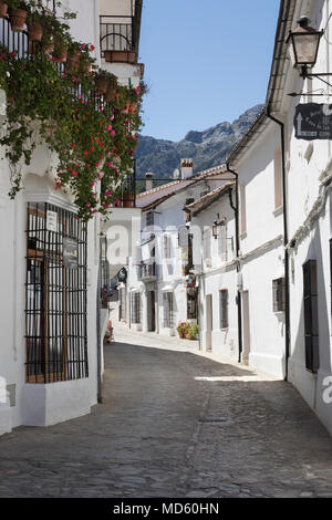 Strada stretta in bianco andaluso village, Grazalema, Sierra de Grazalema parco naturale, Andalusia, Spagna, Europa Foto Stock