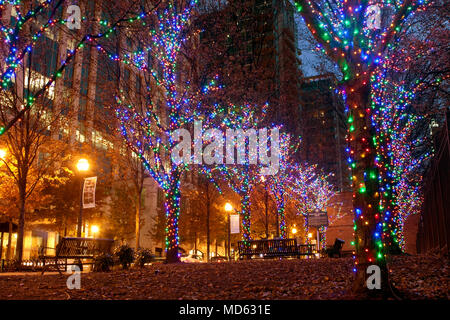 Atlanta, GA, Stati Uniti d'America - 25 Novembre 2014: Colorful holiday lights adornano alberi lungo Peachtree Street in Midtown Atlanta. Foto Stock