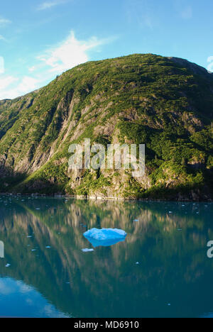 Grandi blocchi di ghiaccio del ghiacciaio galleggiante in Tracy Arm fjord in Alaska Foto Stock