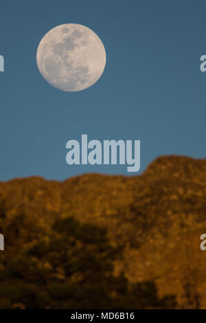 La Luna llena de febrero, Conocida como Luna de Nieve, pudo versetto mientras el satélite ingresaba en la zona de la penombra de la Tierra, en lo que se conoce como onu penumbral eclipse. Aqui se observa su salida en el horizonte de los cerrros cercanos una cantra, Chihuahua, Messico donde habita la comunidad indigena raramuri la luna piena di febbraio, noto come luna di neve, potrebbe essere visto come il satellite entrato nella zona di penombra della terra, in quello che è noto come un penumbral eclipse. Qui si osserva la sua uscita nell'orizzonte delle colline nei pressi di cantra, Chihuahua, Messico dove abita gli indigeni commun Foto Stock